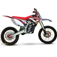 Электрический мотоцикл DWX 250