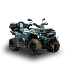 Электрический квадроцикл ELIQ PM800
